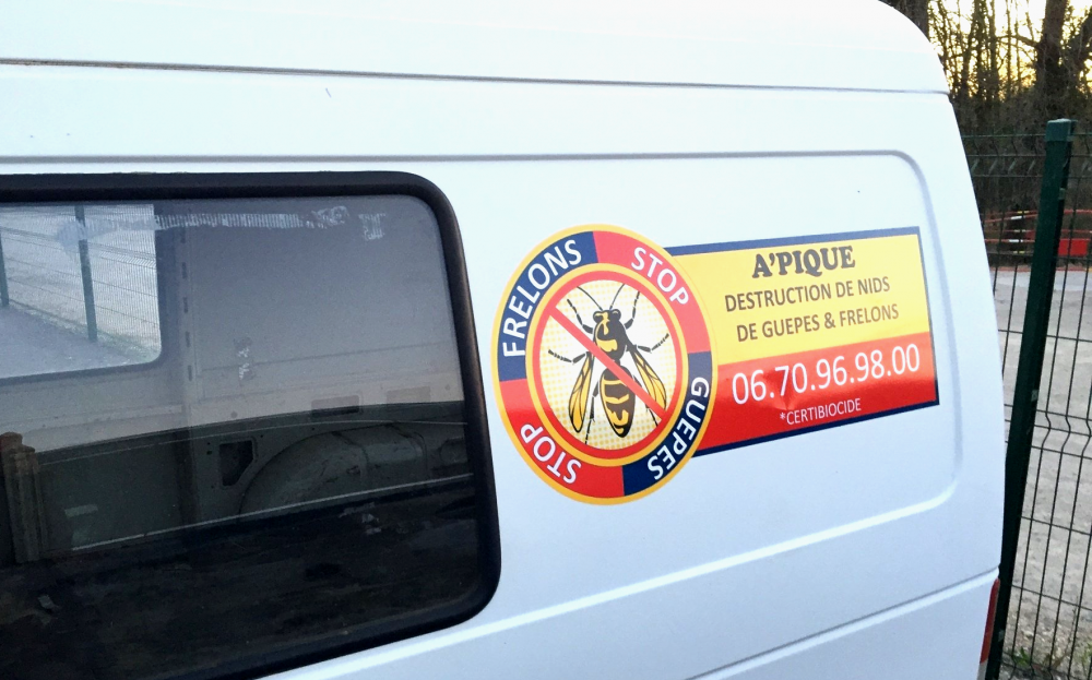recherches_frequentes.png