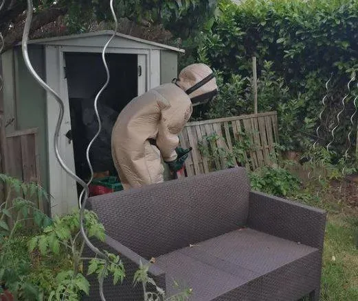 intervention nids frelons asiatiques (1)