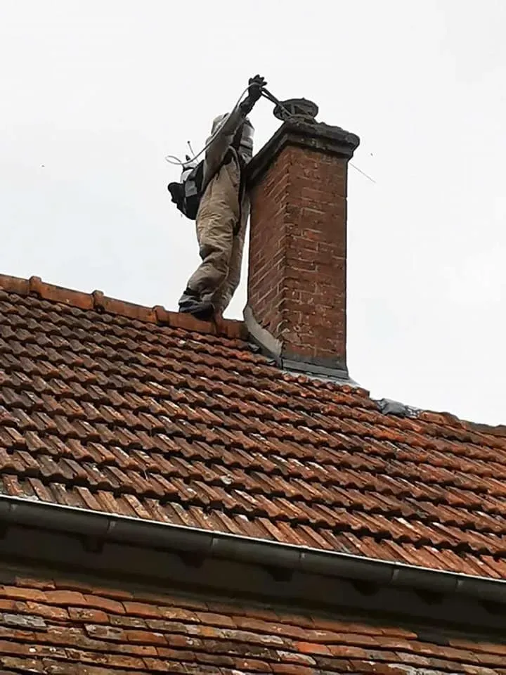 retrait de nids dans cheminee